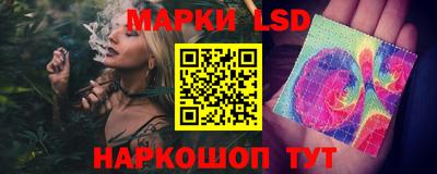 крисы Моздок