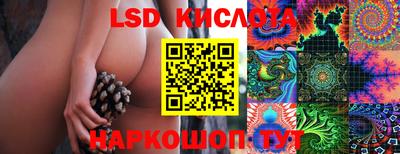 крисы Моздок