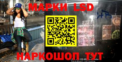 крисы Моздок