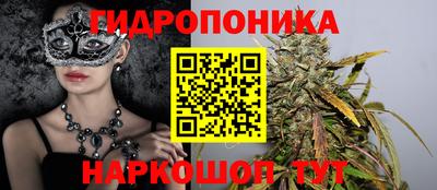 крисы Моздок