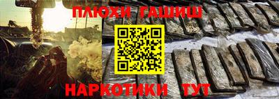 крисы Моздок