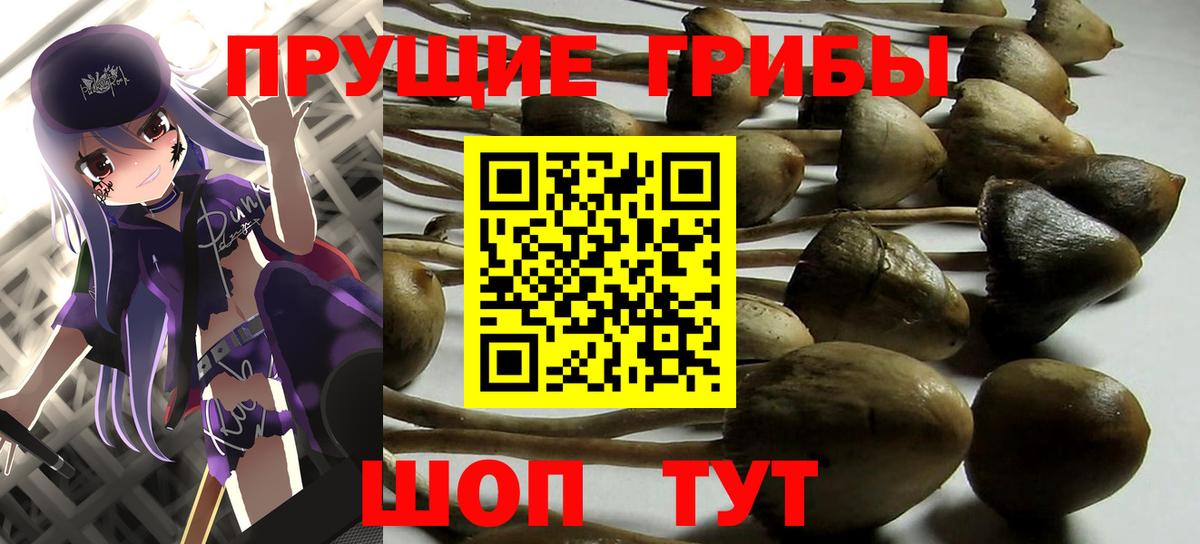 купить наркотик  Вход с VPN  Дюртюли  Псилоцибиновые грибы Magic Shrooms 